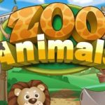 Zoo Animals